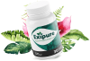 Exipure – Healthy weight loss
